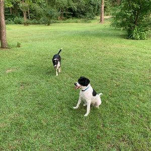 Meet your Posher, Aaron